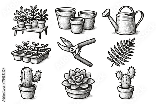 Fern vector can succulent icon collection tabletop shears greenery watering plant
