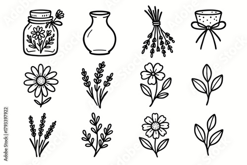Lavender vector herbs chamomile cork icons icon leaves wildflowers small floral dried