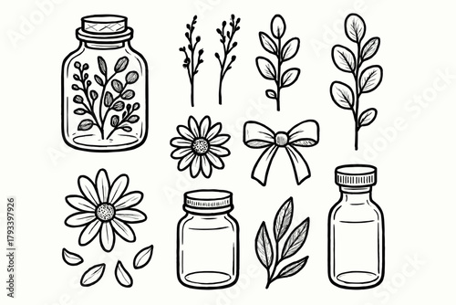 Icons petals floral ribbon eucalyptus vector icon chamomile herbal jar bottle small