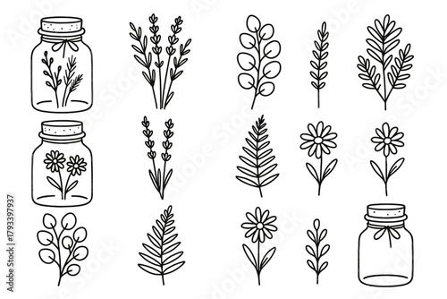 Bow glass minimal icon twine floral eucalyptus jar vector stems dried lavender