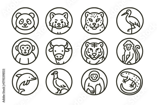 Asian Wildlife Icons. Line style round icons of Asian wildlife: panda, red panda, snow leopard, crane; golden monkey, yak, tiger,