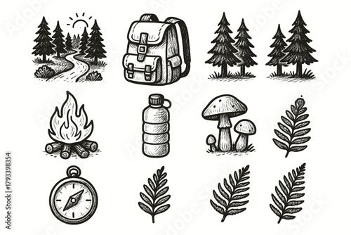 Woodland trail forest vector mushrooms pine peaceful campfire fern icon kit trees