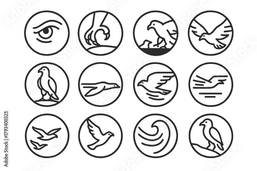 Bird of Prey Icons. Line style round icons of natural dominance: sharp eye, talon grasp, shadow over prey, wide wings; confident