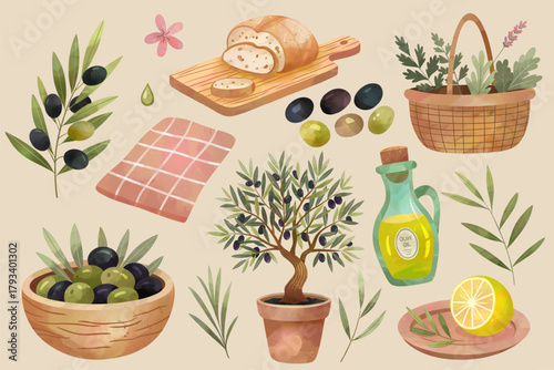 Watercolor olives, herbs, olive oil, bread, greenery. Hand drawn mediterranean clipart for logo and food projects.