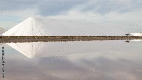 Aiguemortes et les salins