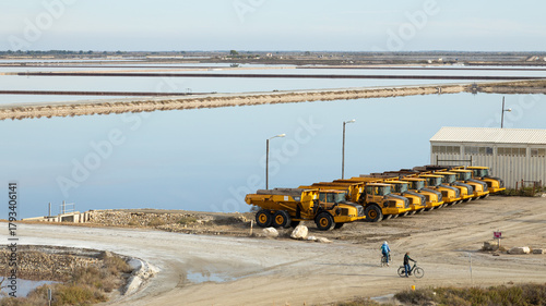 Aiguemortes et les salins