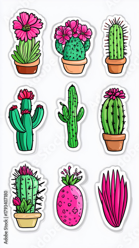 Colorful digital illustration featuring a collection of nine unique potted cacti and succulent plants, 