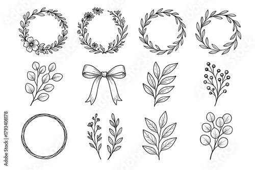 Leaves summer circle icons icon berries wreath wildflowers floral twine vector botanical