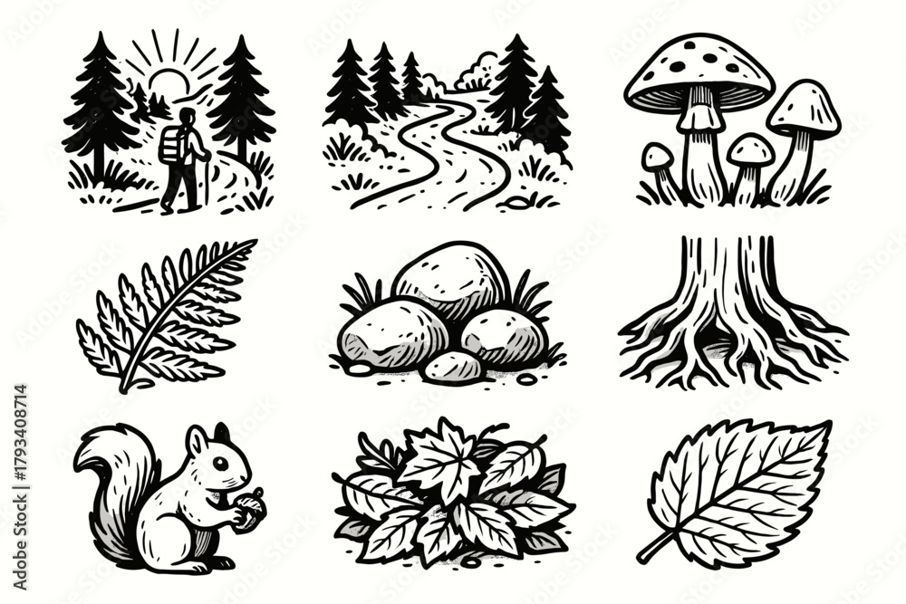 Obraz premium Vector mushrooms tree icon roots path rocks ferns hike morning forest