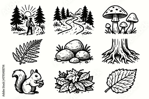 Vector mushrooms tree icon roots path rocks ferns hike morning forest