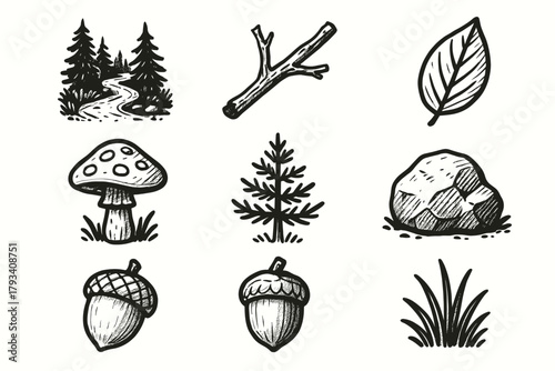 Details icons acorn forest rock vector trail icon path grass mushroom twig