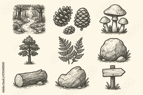 Mushrooms signpost tree icons pinecones fern forest pathway vector path log icon
