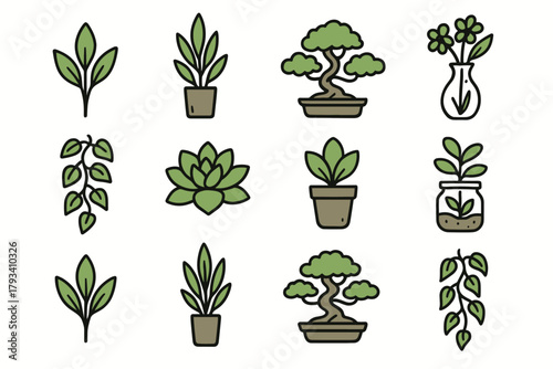Flowers succulent icon modern tall pot vector vase simple plant vine trailing