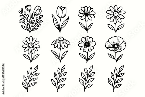 Vector garden icon tulip branch daisy leaf chamomile selection set floral spring