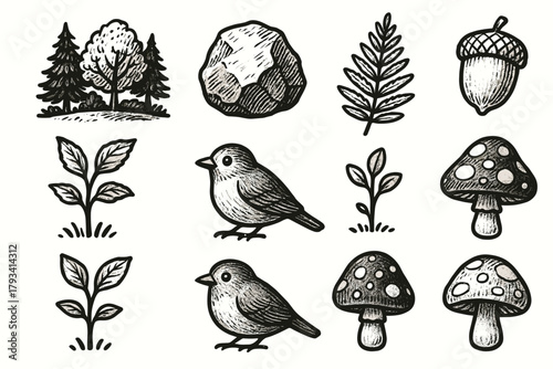 Vector bird edge natural icon cap sapling mix forest fern icons acorn
