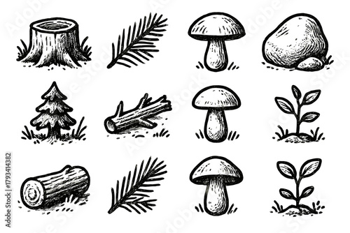 Cozy wild stone branch icons icon edge sapling forest details vector mushroom