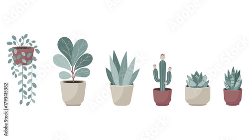vector set of six minimalist potted houseplants in pastel terracotta pots, perfect horizontal illustration for wall art, eco branding, social media templates, packaging, posters, cards
