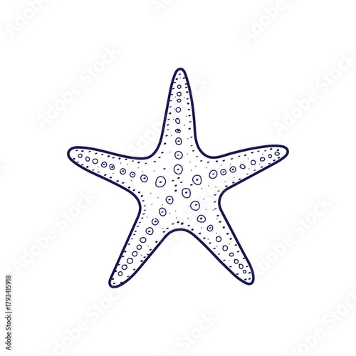 Hand Drawn Starfish Illustration with Dark Blue Outline on White Background sea star