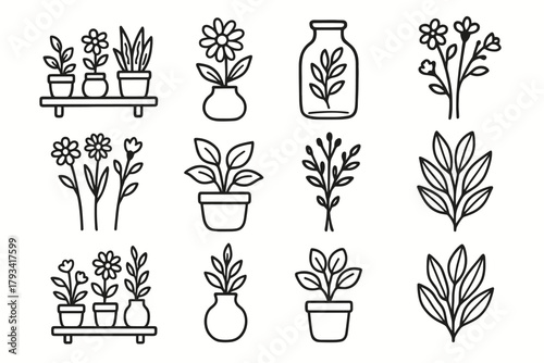 Plant leaf bunch decor shelf vector display icon vase stems icons jar