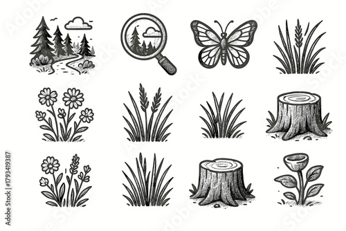 Butterfly tall vector wildflowers discovery tree nature stump forest set grass icon