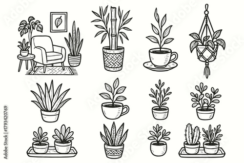 Pot plant modern decor teacup bamboo vector boho icon corner tray