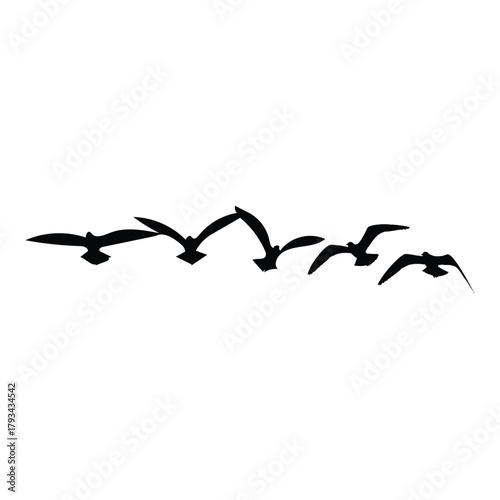 A flock of birds flying in a v formation silhouette