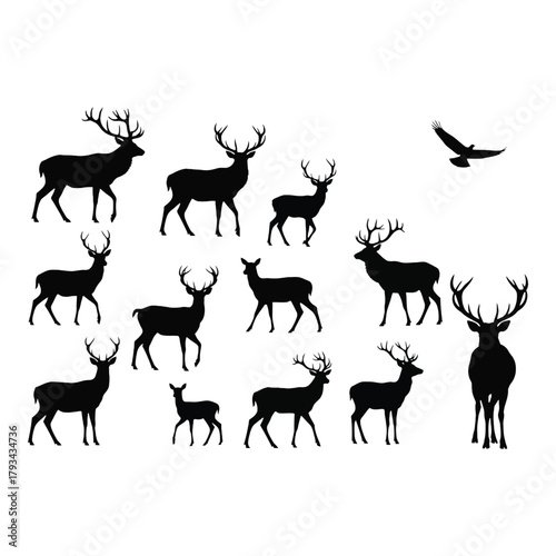 Silhouette collection of deer and a flying bird against white