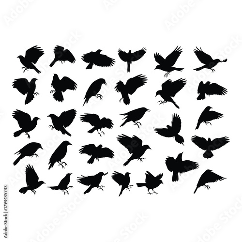 A collection of silhouettes depicting birds in various flight poses