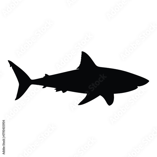 Silhouette of a great white shark swimming in dark waters