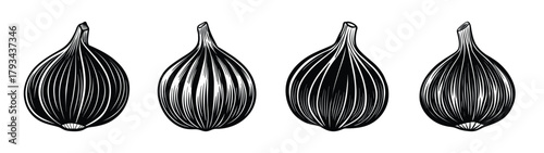 Illustration of rice grains black and white drawing of rice seeds rice plant rice crop rice food rice