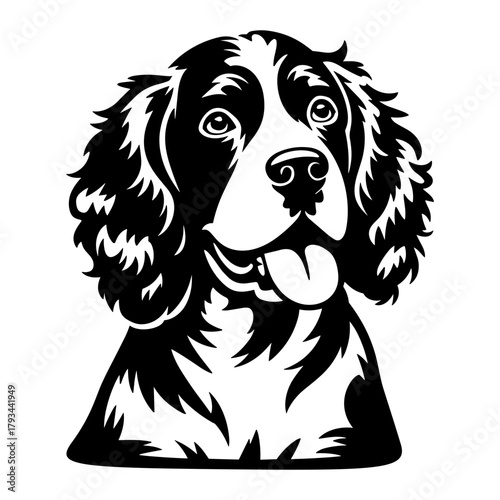 American Water Spaniel