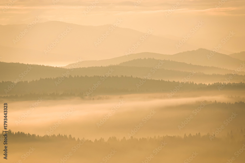 Fototapeta premium SILHOUETTE: Morning mist gently spreads over mountain valleys and forests, with ridges peeking out. Layered hills fade into distance, creating a calm and dreamy winter atmosphere bathed in soft light.