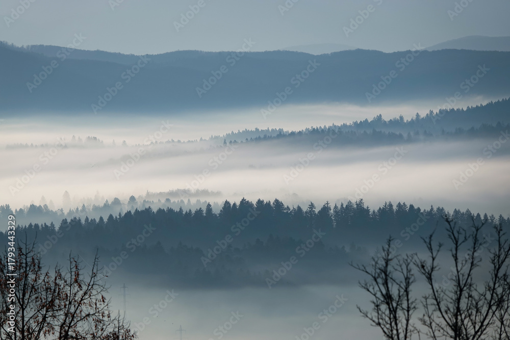 Fototapeta premium SILHOUETTE: Soft fog fills valleys, gently covering layers of forest and distant hills. The pale morning light and delicate haze create a peaceful and poetic natural landscape full of calm and depth.