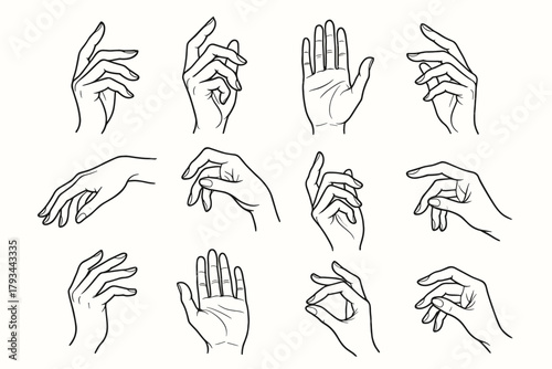 Lines subtle elegant palm open fingers bent hand gestures icons vector icon