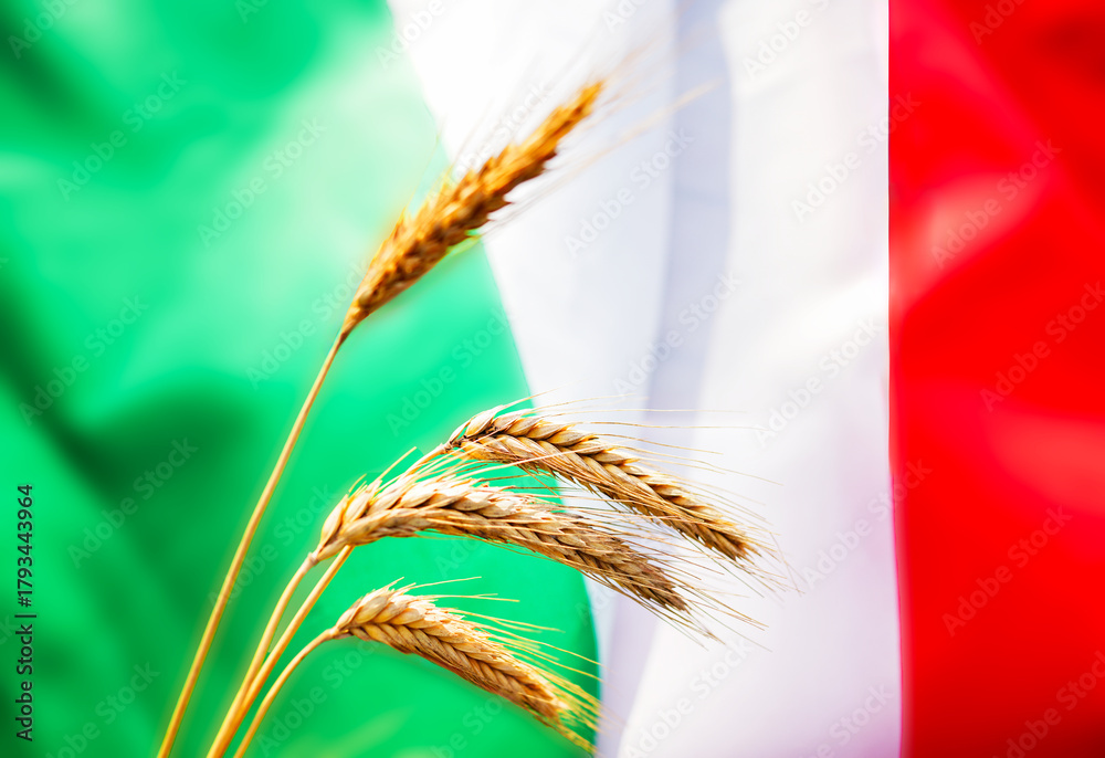 Obraz premium Wheat on Italy flag background. Wheat grain. Italy wheat export prices. European Union Export curbs. Italian grains shipment. Export of rye, barley, corn. EU Italy grains prices. Crop Production.