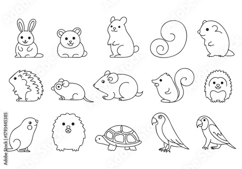 Cute Small Pets and Wildlife Doodle Set | Hand Drawn Rabbit, Hamster, Hedgehog, and Parrot Line Art Icons