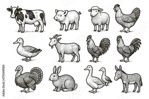 Sheep farm rabbit icon goose turkey horse icons vector chicken rooster animal