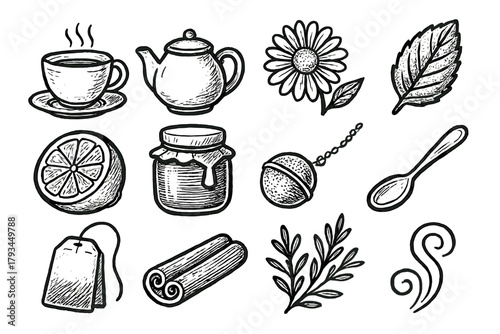 Jar bloom spoon tea chamomile vector icon cinnamon herbal curl bag leaf