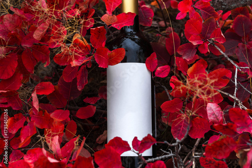 A bottle of wine in the mountains