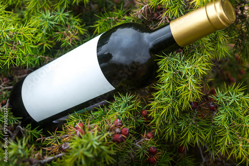 A bottle of wine in the mountains