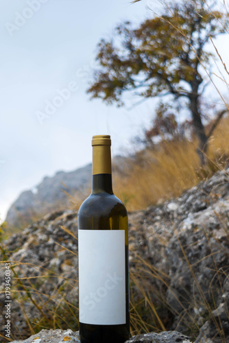 A bottle of wine in the mountains