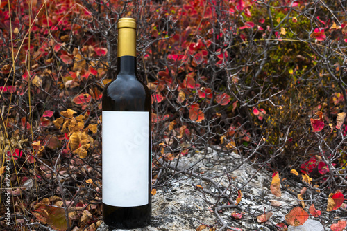 A bottle of wine in the mountains