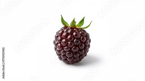 Fresh blackberry with green calyx on a white background.