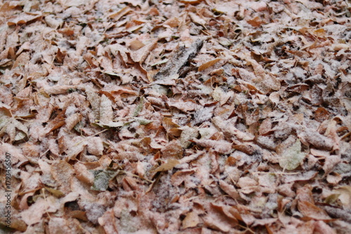 close up of chocolate cake