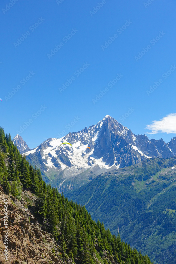 Fototapeta premium Among the Forest of the French Alps in the Summer