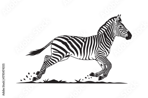 Dynamic black and white illustration of a running zebra