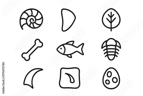 Fossil linear icon set. featuring ammonite, trilobite, leaf, bone, claw, tooth, fish, and egg symbols
