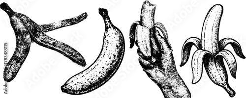 Retro xerography halftone engraving set — banana peel, whole banana, hand holding banana, and peeled banana