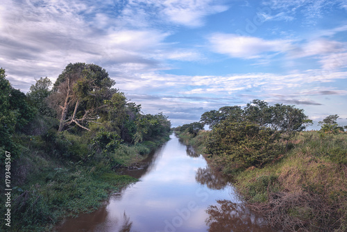 Calm River Surrounded by Trees Under a Cloudy Sky