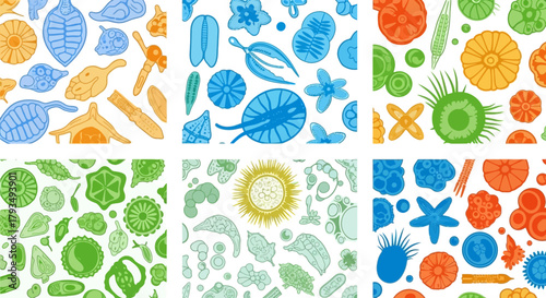 Colorful Microscopic Organisms - A Diverse Collection of Marine Life.